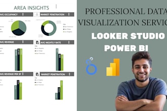 provide expert data visualization services with looker studio and power bi