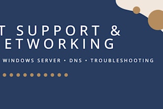 do professional IT support, network setup, and dns troubleshooting