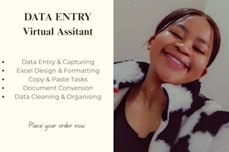 do professional data entry and excel capturing