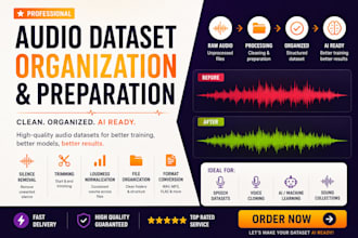 audio dataset organization and preparation