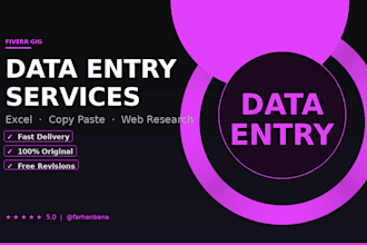 do fast and accurate data entry, copy paste, and excel data management