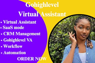 gohighlevel executive virtual assistant follow up boss crm lofty crm hubspot crm