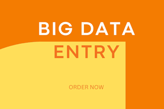 help with big data entry assignments