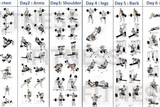 work with you to get your dream body