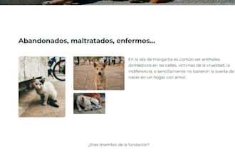 build a modern, responsive website