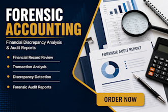 do forensic accounting, identify financial discrepancies, forensic audit reports