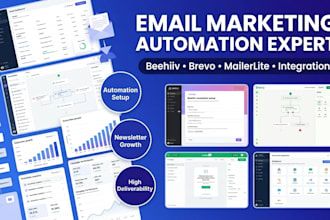 beehiiv newsletter brevo automation beehiiv mailerlite email campaign automation