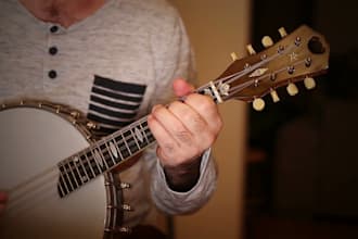 record pro banjo, mandolin, fiddle, bouzouki and weissenborn for your song