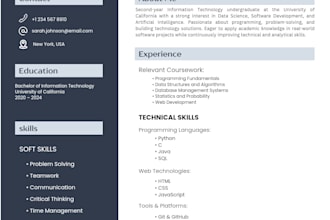 design a professional CV or resume in canva
