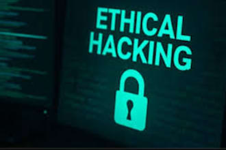 ethically get access as an hackers to access and gain entree