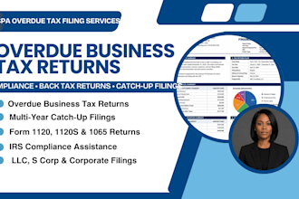file overdue business tax returns and catch up tax filings as CPA