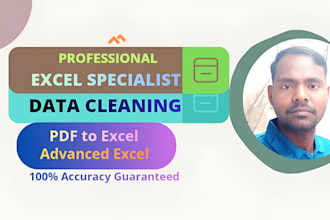 clean, format, and organize excel data professionally