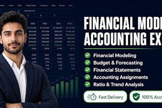 build excel financial models, finance assignments forecasting, analysis report