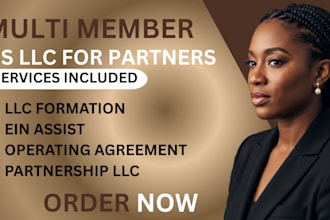 form your US multi member llc for partners with ein and operating agreement