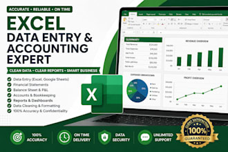do excel data entry, PDF to excel and tally accounting