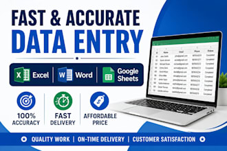 do accurate data entry and excel spreadsheet work