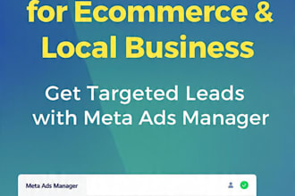 run facebook instagram lead ads for ecom, local business
