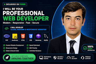 develop custom web applications, erp and accounting systems