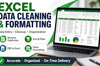 clean, organize, and format excel data