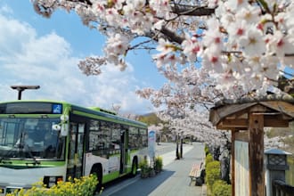 capture stunning scenic nature photography in japan