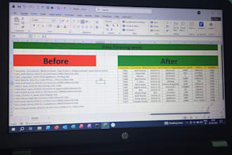 do expert data cleaning, excel data formatting, and copy paste