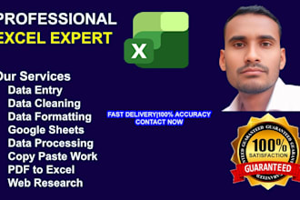 do expert data cleaning, excel data formatting, and copy paste