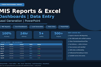 do mis report, excel dashboard and data entry work