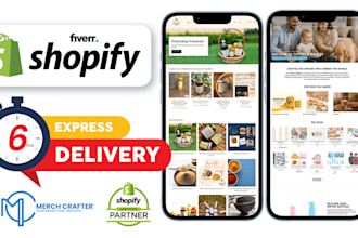 build a shopify store within 6hours