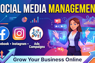 manage your social media accounts and run ad campaigns