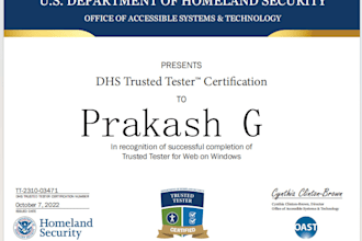 perform wcag accessibility testing and audit