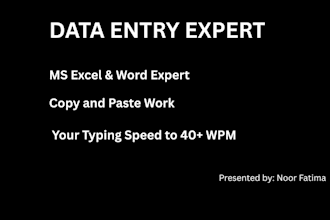 do professional data entry and ms office typing work