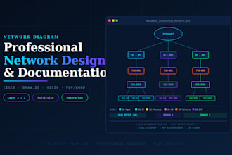create a professional network diagram and documentation