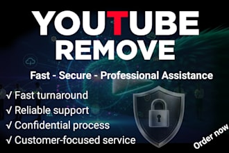 submit professional dmca takedown notices