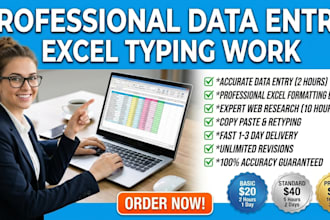 do expert data entry and excel typing