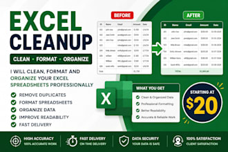clean, format and organize excel spreadsheets