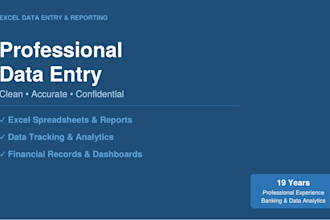 professional excel data entry and reporting