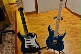 write and record proffessional electric guitar parts and solos for your songs