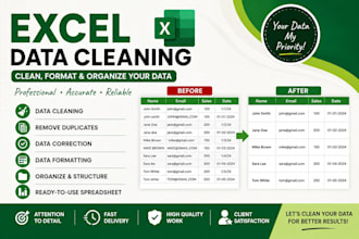 clean, format and organize your excel data professionally