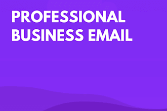 setup your professional business email or fix dns records