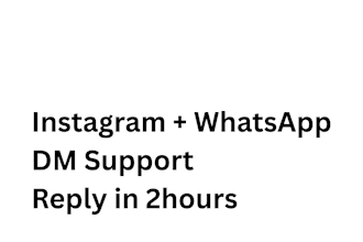 manage instagram dms and whatsapp customer support for your business