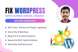 wordpress bug fix, security cleanup and monthly maintenance service