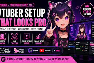 setup pngtuber and vtuber streaming for twitch and youtuber creators
