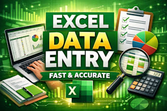 do professional microsoft excel data entry and cleaning