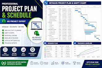 create professional ms project schedules and gantt charts