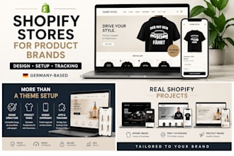 build a professional shopify store