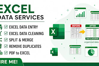 do data cleaning, formatting, pivot table and charts