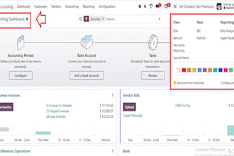 setup, customize and support odoo accounting