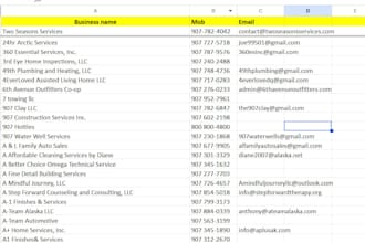 provide USA business leads, clean CSV and remove duplicates
