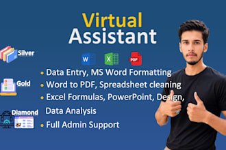 be your expert ms office assistant and virtual assistant