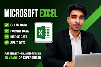clean, sort, filter and organize your excel data professionally